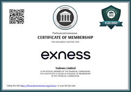 Understanding Exness Promotions Size Maximize Your Trading Benefits