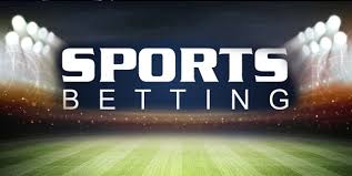 Discovering 1xBet Your Ultimate Betting Partner